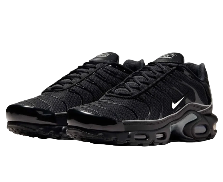 Nike Air Max TN OG
